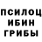 Псилоцибиновые грибы мицелий Vladimirs Vorohta