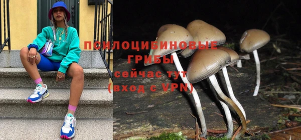 молекула духа Аркадак