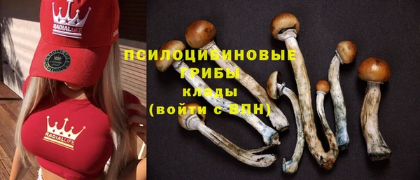 молекула духа Аркадак