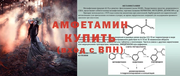 молекула духа Аркадак