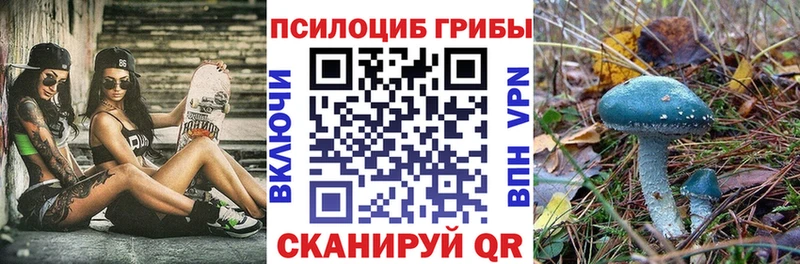 Псилоцибиновые грибы MAGIC MUSHROOMS  Сунжа 